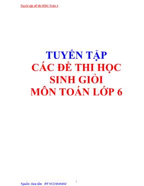 Tuyển tập các đề thi học sinh giỏi môn Toán lớp 6